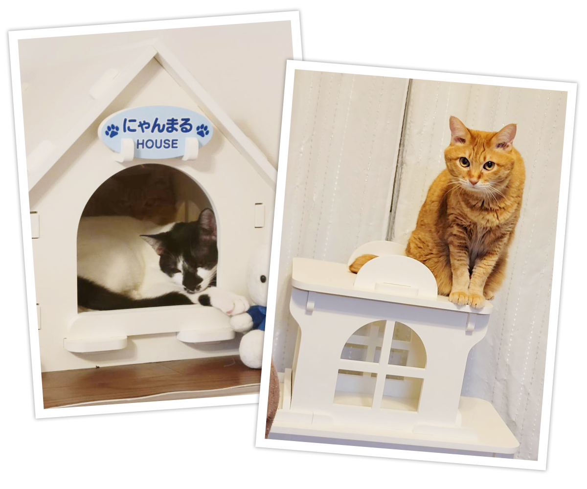 にゃんまるの会 様 - オリジナルキャットタワー・猫ちゃん雑貨の猫家具