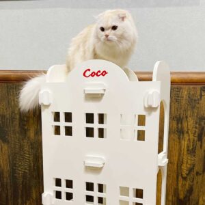 猫家具 猫のアスレチック『キャットアパートメント』
