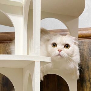 猫家具 猫の螺旋階段型タワー『キャットコロッセオ』