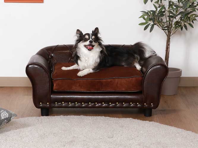 猫家具ブログアイキャッチ 猫ちゃん・ペット用チェスターフィールド風ソファ ブラウン
