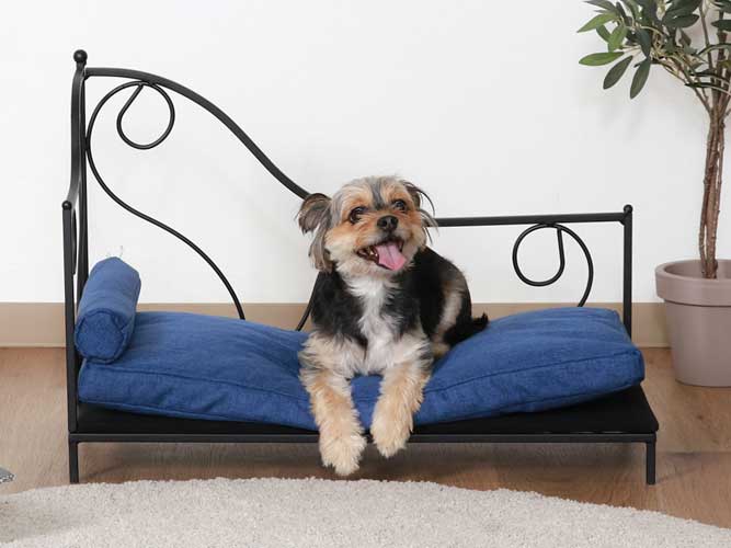 猫家具ブログアイキャッチ エレガントなデザインの猫ちゃん・ペット用カウチソファ風ベッド